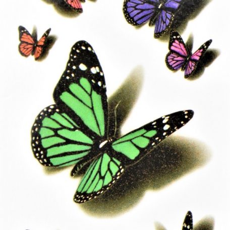 couleur de jolis papillons