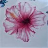 hibiscus de mer éphémère