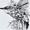 un oiseau colibri