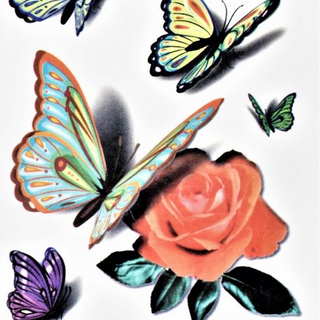 papillons en 3D