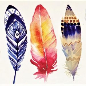 plumes de couleur